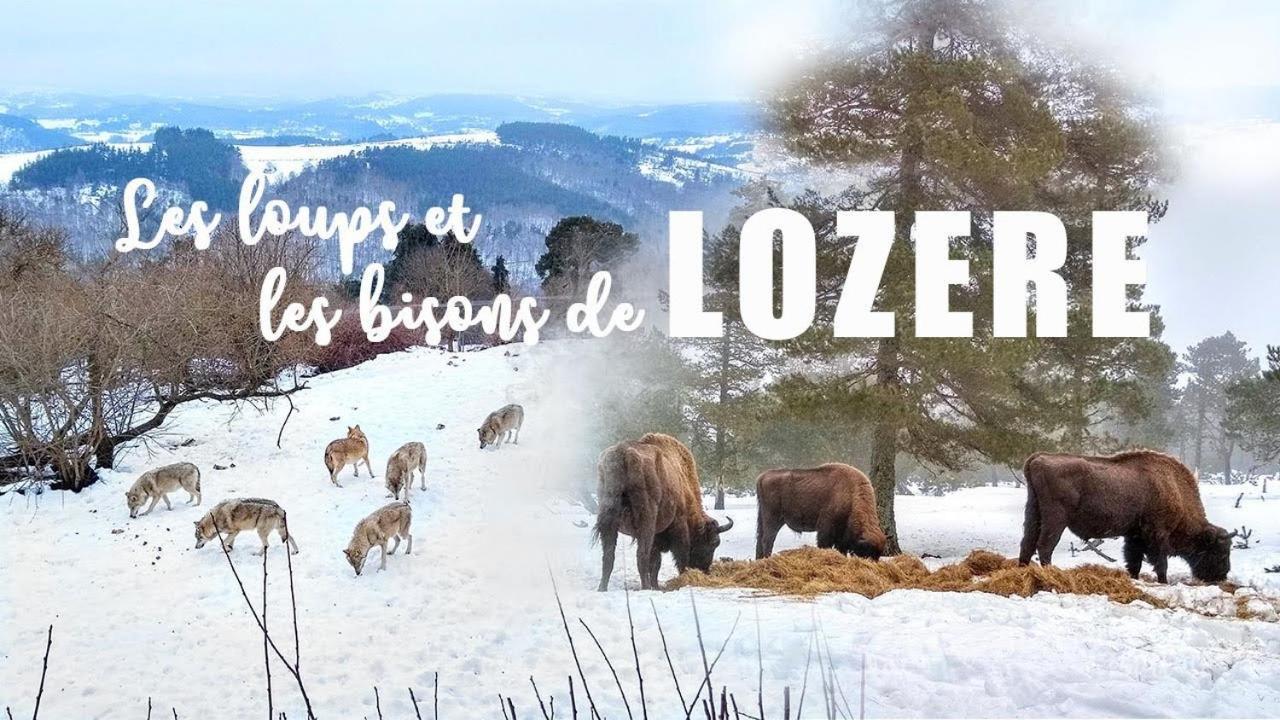 Holiday home Le Loft Barjac (Lozere)